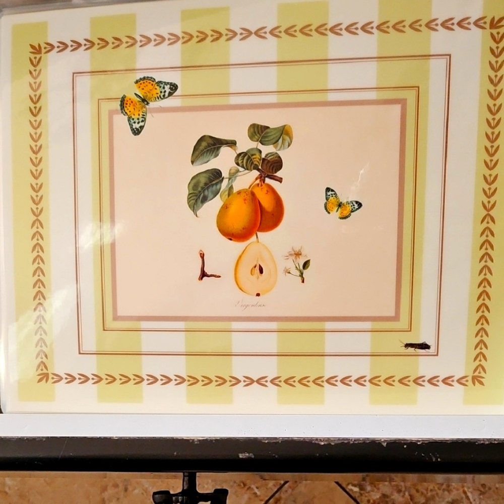 H. P Designs Elegant Placemat. Set of 8